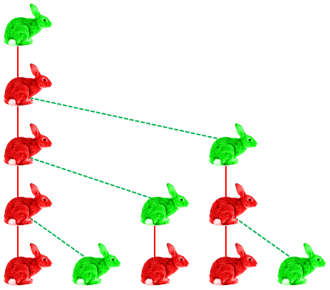 Family tree of rabbits, newborns in greeb