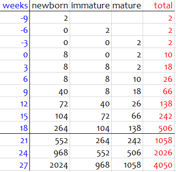 Table showing newborn, immature, and mature each week