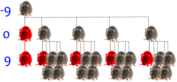 Mouse family tree